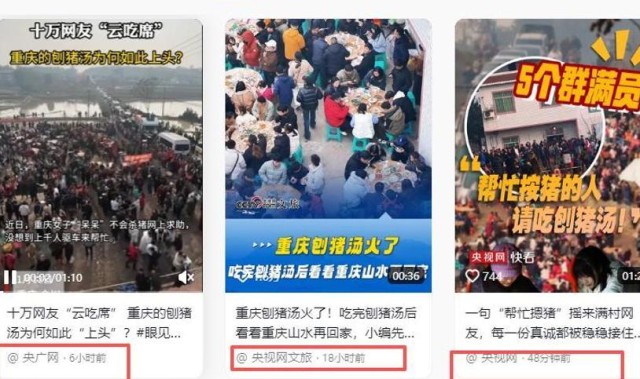 天天盈球直播-株洲灿灿跟风杀猪，比呆呆还野！文旅提前6天准备，却被网友骂惨