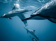 纵览星海，从xingkong.com开启你的探索之旅